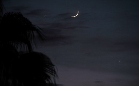 Mond