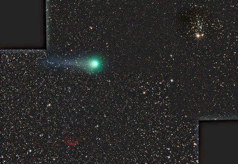 Lovejoy