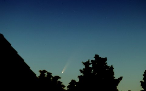 Neowise