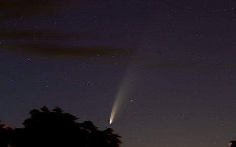 Neowise