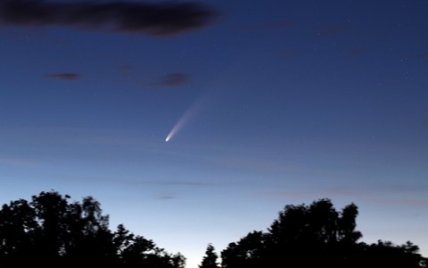 Neowise