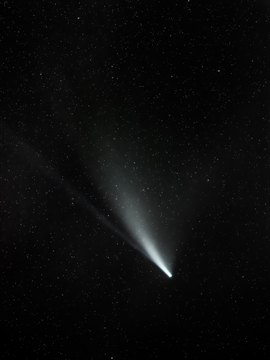 Neowise
