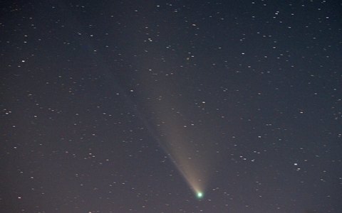 Neowise