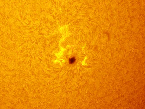 AR2546 — Die aktive Region um den derzeit sichtbaren großen Sonnenfleck, aufgenommen am 22. Mai 2016 von Robert in Obercrinitz.Autor: RobertLizenz: CC BY-NC-ND 4.0