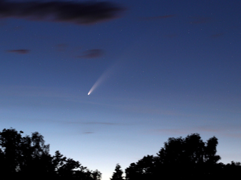 Neowise