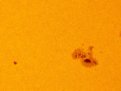 Flecken — Die Fleckengruppen 2585 und 2588 im Weißlicht, aufgenommen am 08.09.2016 mit dem 200/1000 Helioskop (+2fach Barlow) von Robert in Obercrinitz. Deutlich ist neben den Flecken die Granulation erkennbar.Autor: RobertLizenz: CC BY-NC-ND 4.0