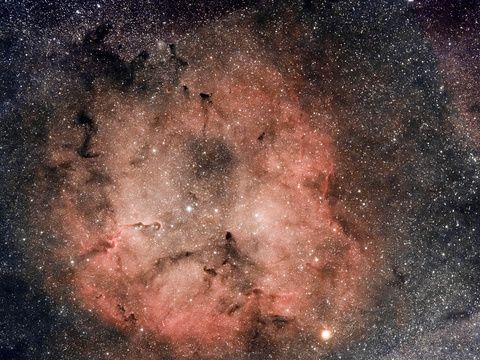 IC 1396 — IC 1396 im September 2023. Das ist ein wirklich großer Nebel im Sternbild Kepheus. Wenn wir ihn mit eigenen Augen sehen könnten, würden wir staunen, leider geht das wegen der Lichtschwäche nur fotografisch. Unseren Mond könnten wir in der etwas dunkleren Stelle in der Mitte unterbringen. Kamera Canon EOS 6DII-Astro, 80/480 APO, Filter IDAS NB1 und Optolong L-Pro, 127 min, ISO 1600, Siril und Lightroom, Matthias