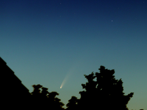 Neowise