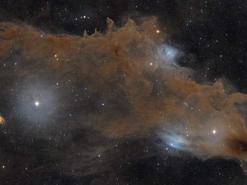 Dark Shark — Der Dunkelnebel LDN1235 ("Dark Shark") mit den beiden Reflexionsnebeln LBN546 und LBN541, sowie der Stern 16Cep und die Galaxie PGC67671 im Sternbild Cepheus. Am 6" f/4 Newton wurde mit der ASI2600MC DUO insgesamt 11h50' belichtet. Aufgenommen im Sternenpark Westhavelland.
