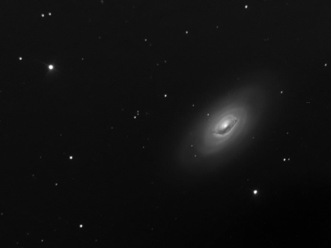 Messier 64 - die Blackeye-Galaxie im Haar der Berenike (Coma Berenices)