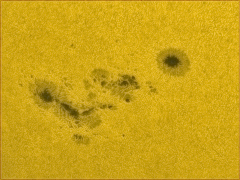 Sonnenflecke — Eine schöne Sonnenfleckengruppe zeigte sich am 6.11.2020. Aufgenommen in der STW Zwickau am 140mm APO, Matthias.