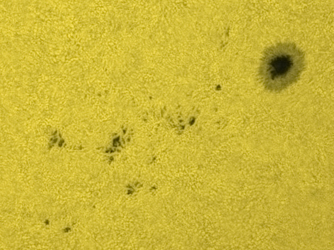 Sonnenflecke — Die selbe Sonnenfleckengruppe des 6.11.2020 zeigte sich am 10.11.2020 auf der Westseite der Sonne. Innerhalb von vier Tagen hat sich viel verändert. Aufgenommen in der STW Zwickau am 140mm APO, Matthias.