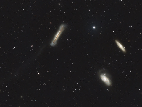 Leo Triplett — Das Leo Triplett (M65, M66 und NGC3628), aufgenommen vom 21.04.25 - 27.04.25 im Sternenpark Westhavelland. Am 6" f/4 Newton wurde mit der ASI2600MCDUO insgesamt 9h 40min belichtet. Bei NGC3628 ist schwach der Gezeitenschweif auszumachen, entstanden wahrscheinlich durch eine längst vergangene Wechselwirkung mit M65 und / oder M66.