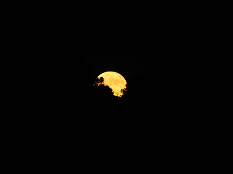 Vollmond — Vollmondaufgang in Erdnähe am 14.6.22