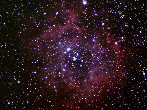 Rosette — Der Rosettennebel aufgenommen am 18.1.2023 von Niels. Teleskop: Pentax 75/500 SDHF, Kamera: ASI 294 McPro, Belichtung 77x60 Sekunden bei Gain 400