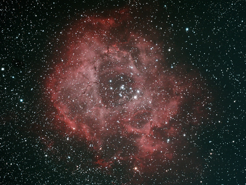 Rosette — Der Rosettennebel NGC 2237-39, 2244, 2246 aufgenommen am 29. und am 30.12.2016 von Niels in Celle (Pentax 75/500 SDHF, CLS-Filter, Canon EOS 40Da, 34 x 360-600 Sekunden bei 800 ISO belichtet).