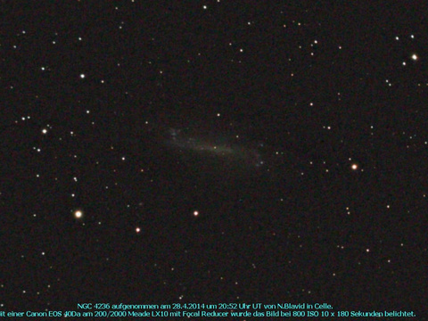 NGC 4236 - Balkenpiralgalaxie im Drachen (Draco)