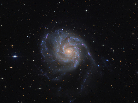 M101 — Aufgenommen von Robert in Obercrinitz.Autor: RobertLizenz: CC BY-NC-ND 4.0
