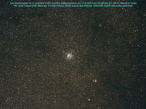 Messier 11 - der Wildentensternhaufen im Schild (Scutum)