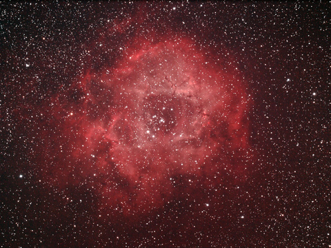 Rosette — Rosettennebel. Canon RP am 140er APO mit Reducer 735mm und CLS Filter. Je 4min Belichtungen. A. Schäfer
