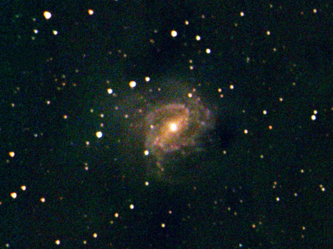 M 83 — Die südliche Feuerradgalaxie M 83 aufgenommen von Niels am 8.4.2016. Mit dem TS 250/1000 Newton, Komakorrektor und der Canon EOS 40Da wurde das Bild 15x120 Sekunden bei 1000 ISO belichtet.