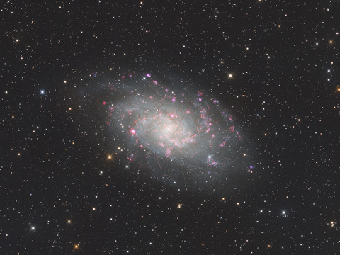 M33 — M33 (Triangulum-Galaxie) mit betonten Sternentstehungsgebieten durch eingemischtes H-alpha/OIII neben RGB. Aufgenommen in Obercrinitz mit der ASI2600MC DUO am 150 mm f/4 Newton, RGB und ALP-T Filter (Ha / OIII, 5nm). Belichtungszeit: ca. 7,5h.