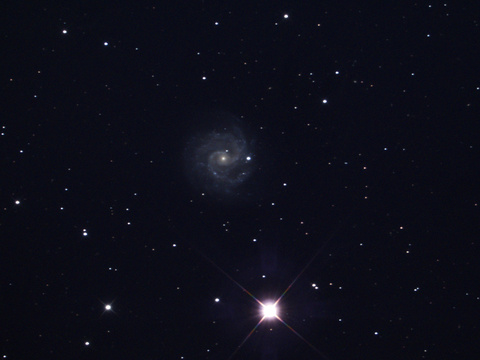 NGC 3184 — Die Galaxie NGC 3184 in der Großen Bärin aufgenommen von Niels am 26.2.2022. Teleskop: TS RC 154/1370 (mit 0,67er Reducer), Kamera: ASI 294 McPro Belichtung: 50x180 Sekunden bei Gain 300 und -10°C Chiptemperatur