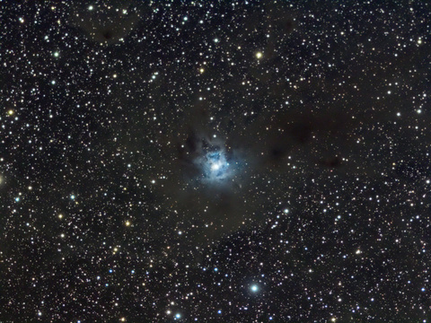 Der Irisnebel - ein Reflexionsnebel im Cepheus