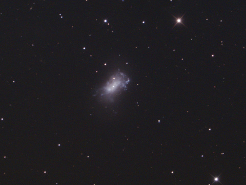 Kiste — Die Kistengalaxie NGC 4449 in de Jagdhunden aufgenommen von Niels am 8.3.2022. Teleskop: TS RC 154/1370 (mit 0,67er Reducer), Kamera: ASI 294 McPro Belichtung: 45x180 Sekunden bei Gain 300 und -15°C Chiptemperatur