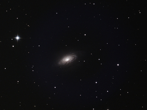 NGC 3521 — NGC 3521 aufgenommen mit einem 150/1370 TS RC Teleskop, 0,67er Reducer und der ASI 294 McPro von Niels. Belichtet wurde bei Gain 400 und -20 Grad Chiptemperatur 75 x 45 Sekunden.