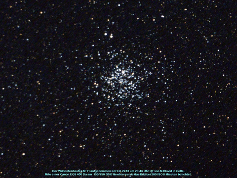 Messier 11 - der Wildentensternhaufen im Schild (Scutum)