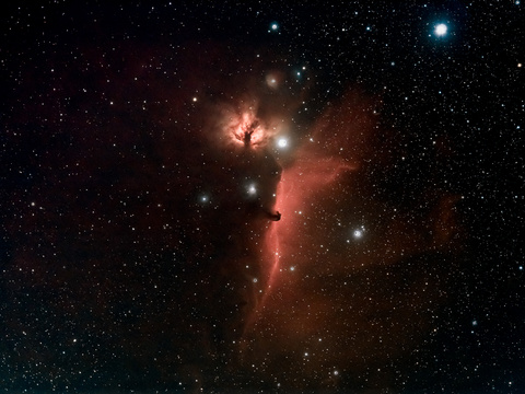 IC 434 — Der Pferdekopfnebel IC 434 und der Flammennebel NGC 2024 gehören wohl zu den Lieblingsobjekten für Astrofotografen. 80/480 Refraktor, Canon EOS 6DII Astro, IDAS NB 1, 18 mal 5 min, also 90 min Belichtungszeit, Siril, Lightroom, Matthias im Februar 2024