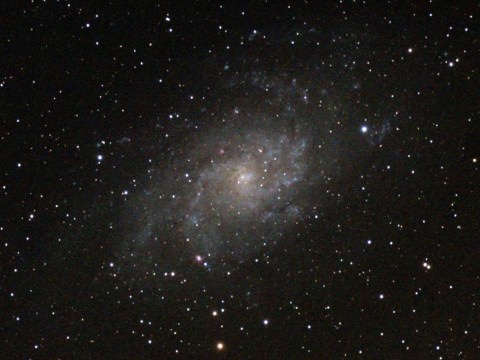 M 33
