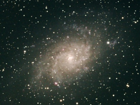 M33