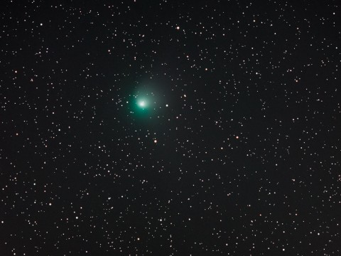 Komet ZTF