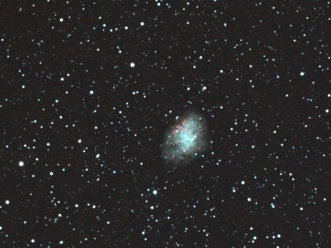 M1