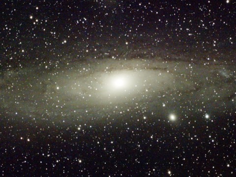 M 31